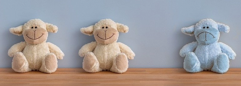 Sylvain Lemarié - Les Blessures affectives Abandon, Rejet, Trahison, Humiliation, Injustice. Accompagnement Thérapeutique