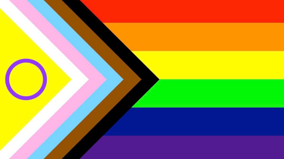 Drapeau Progress Pride Intersexe